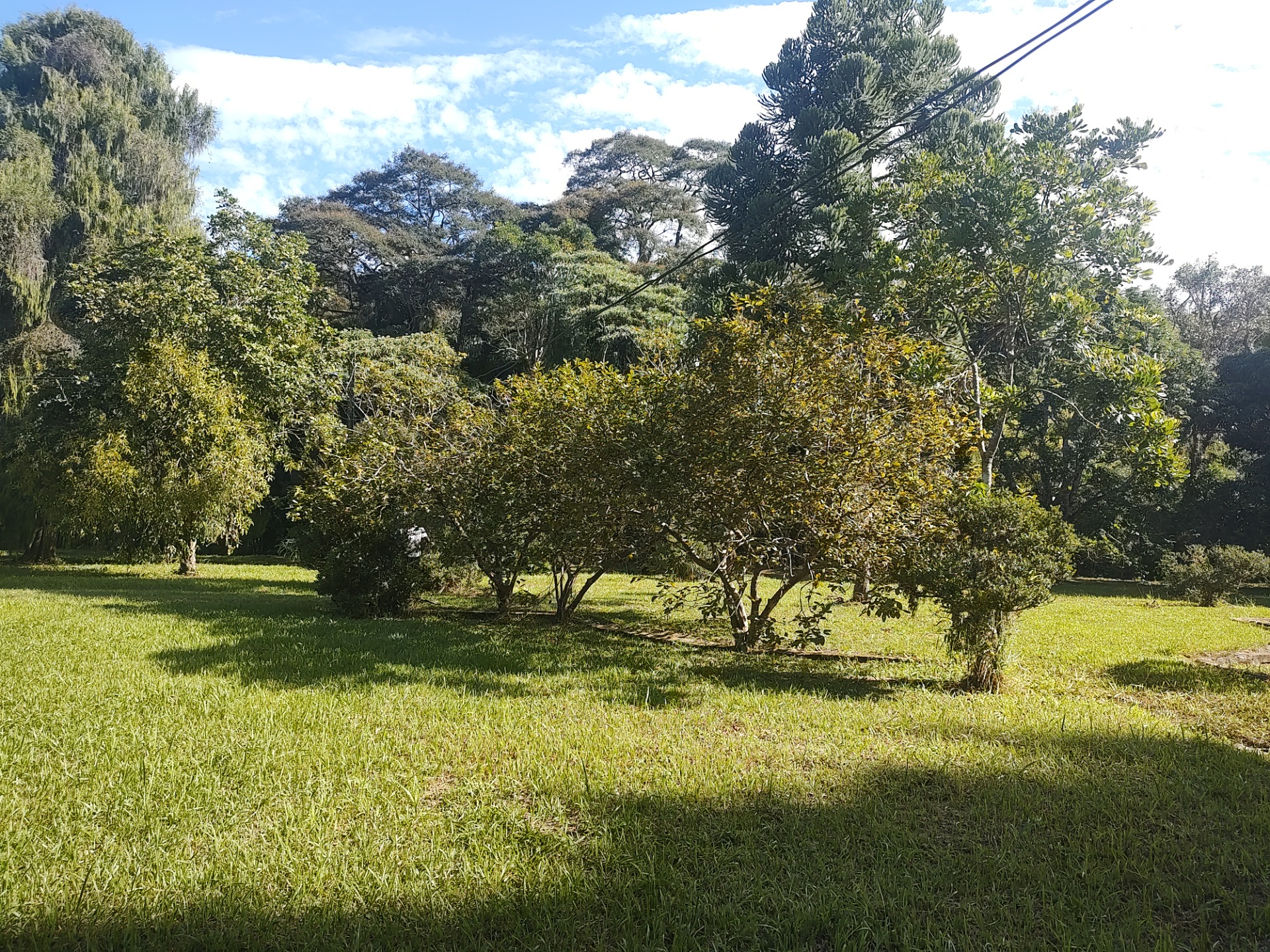 GMI - Jardim