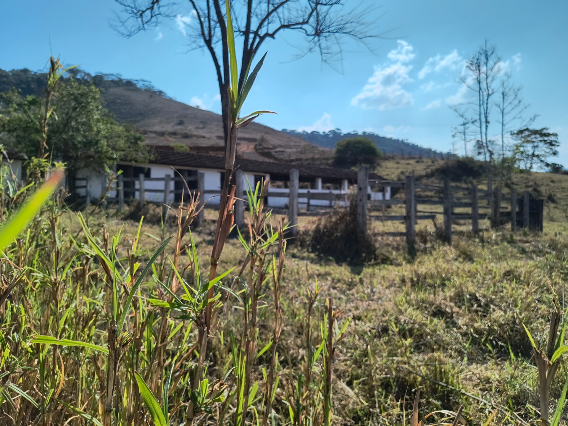 GMI - Haras (baias e curral)