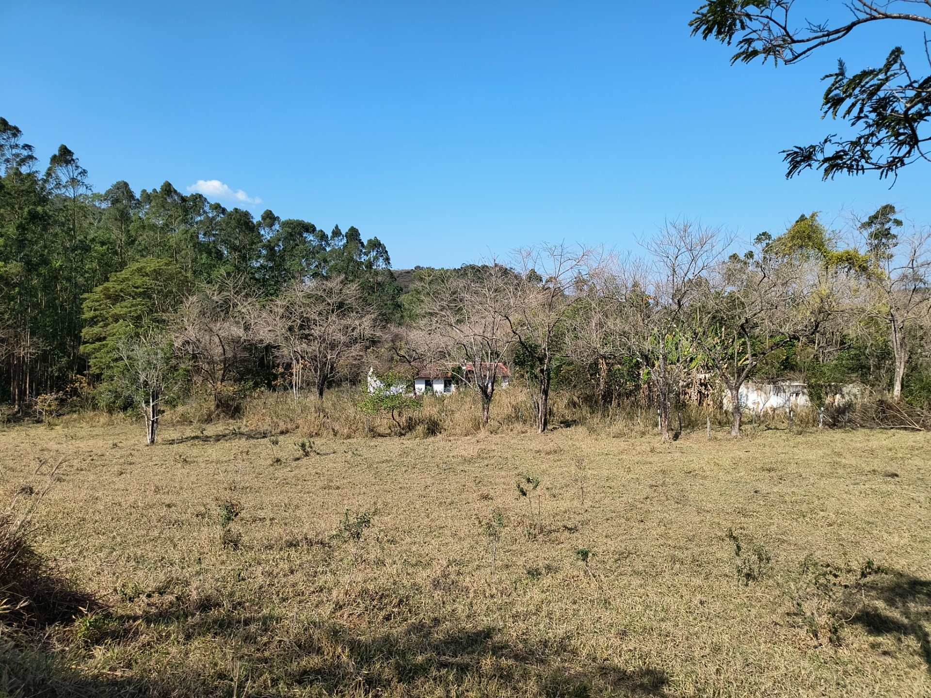 GMI - Vista parcial da propriedade